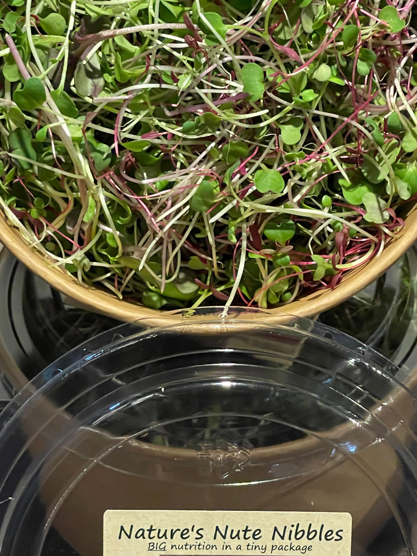 3 oz Nature’s Nute Nibbles- HMA Holistic Mix