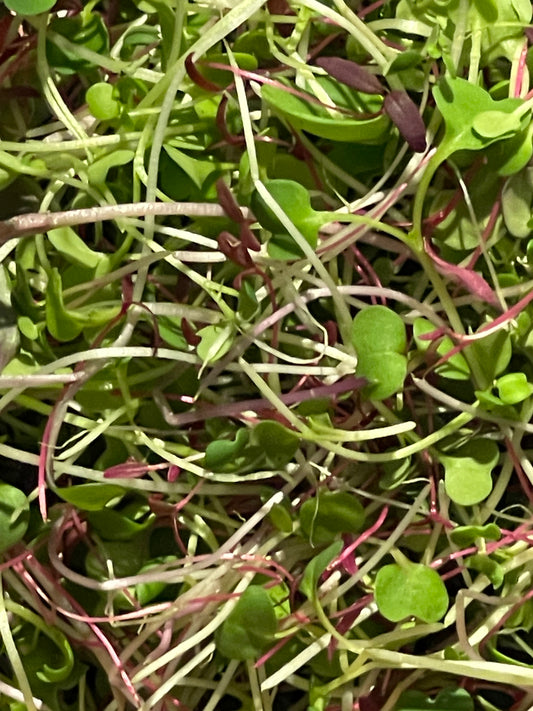 9oz Fresh Iron Booster Mix